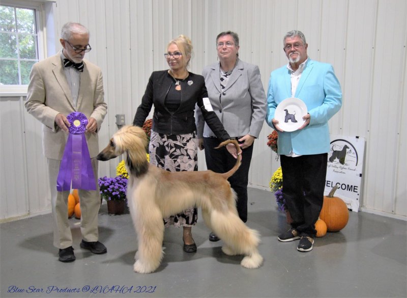 Ash Winners Dog 2a 101021.jpg - 1371 K